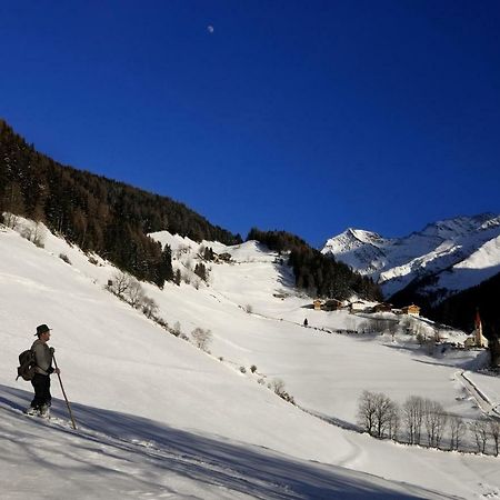 Xl Appartements Steinhaus ภายนอก รูปภาพ